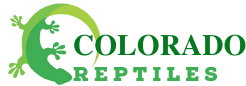 Colorado Reptile Home